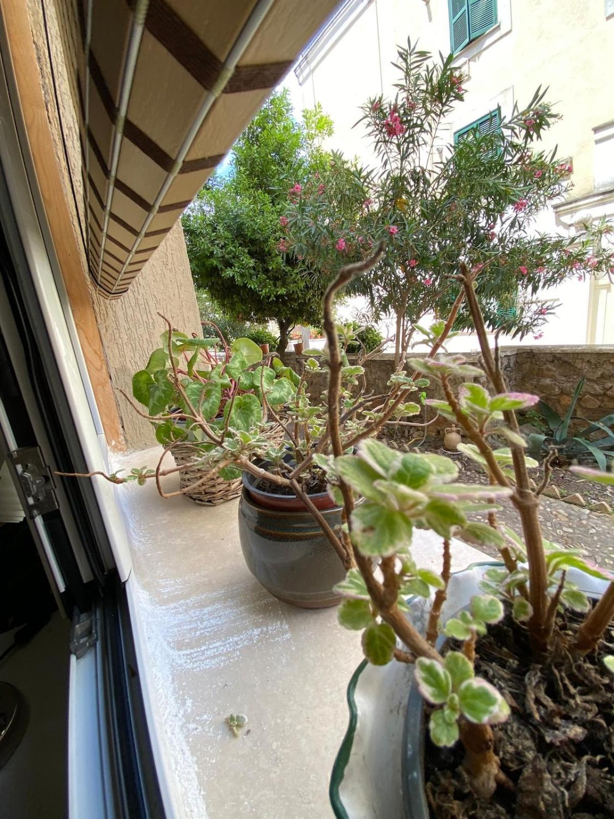 Casetta Beatrice In San Pietro Appartement *